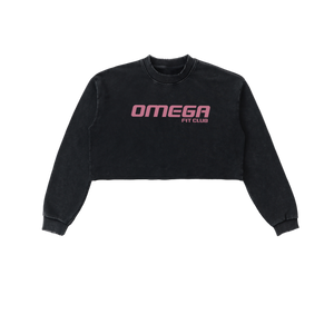 Snow Washed Raw Edge Cropped Sweatshirt